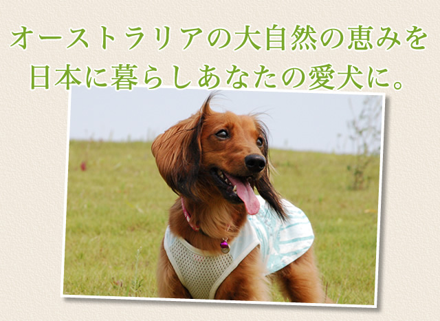 ルートゴートライト カロリーオフ 2.5kgx3袋セット ビィ・ナチュラル